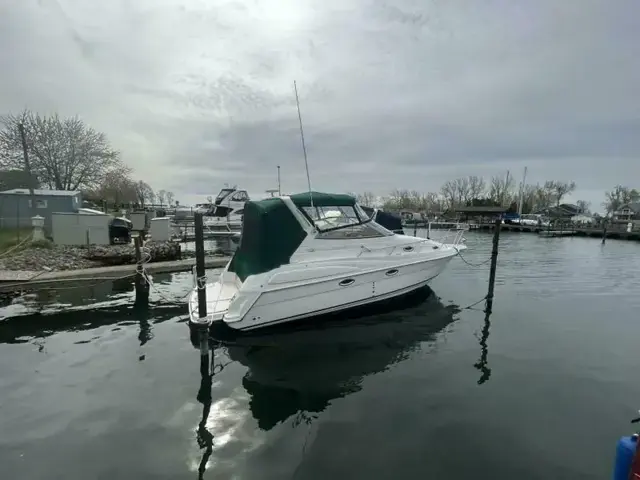 Regal 2860 Commodore