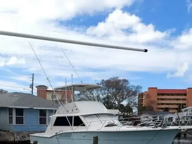 Hatteras Sportfish