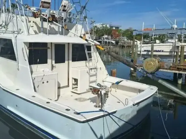 Hatteras Sportfish