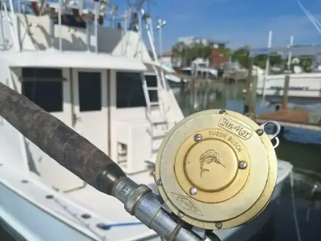 Hatteras Sportfish