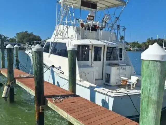 Hatteras Sportfish