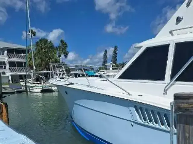 Hatteras Sportfish