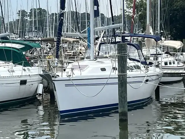 Catalina 350