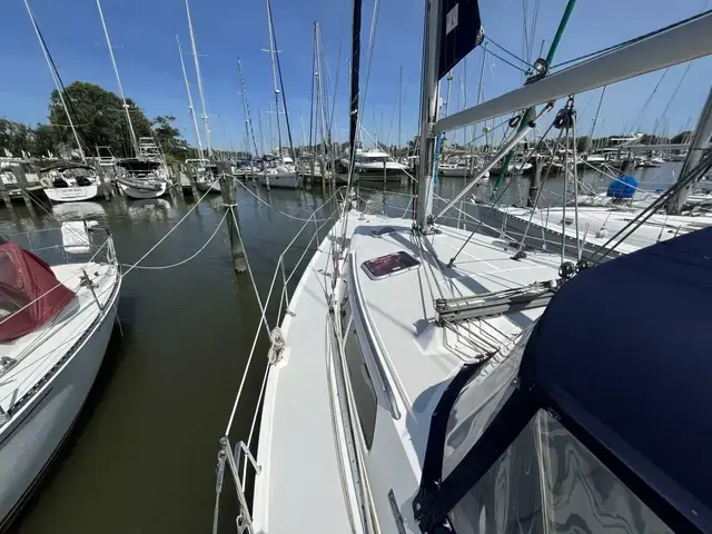 Catalina 350