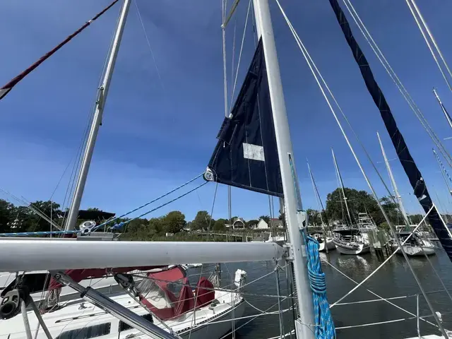 Catalina 350