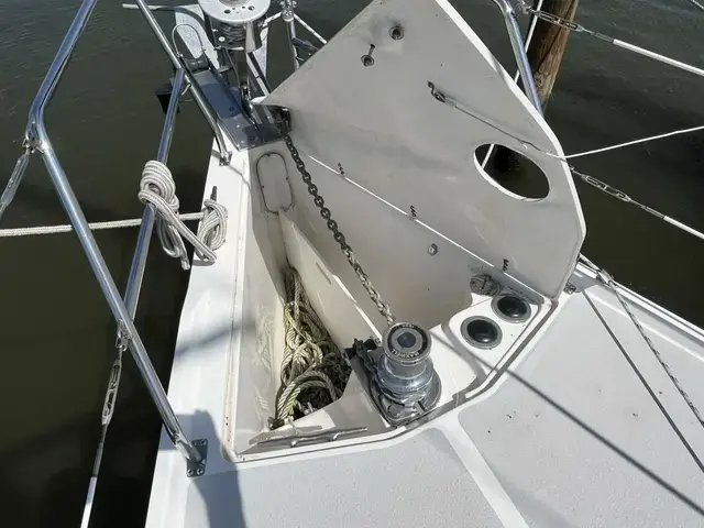 Catalina 350