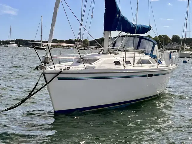 Catalina 320