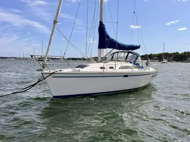 Catalina 320