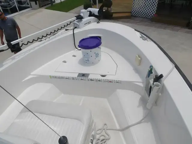 Boston Whaler 180 Dauntless