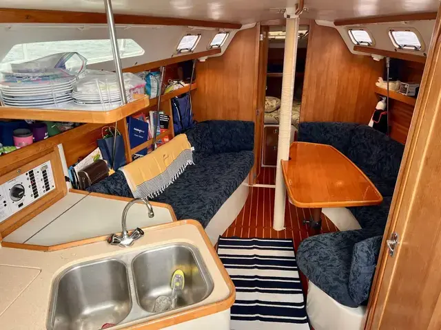 Catalina 320