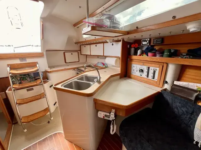 Catalina 320