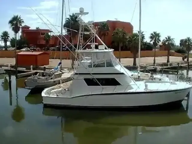 Hatteras Convertible