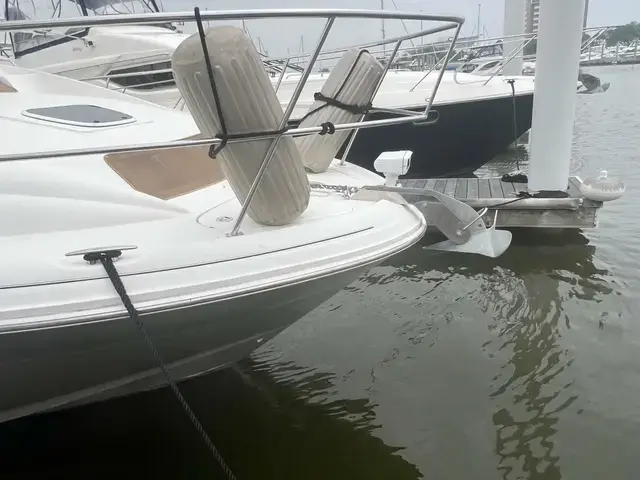 Sea Ray 40 MY