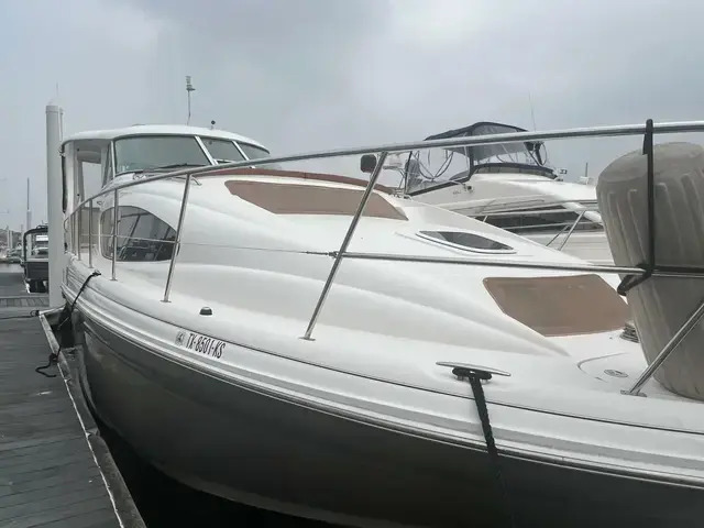 Sea Ray 40 MY