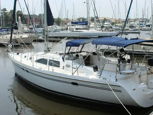 Catalina 387