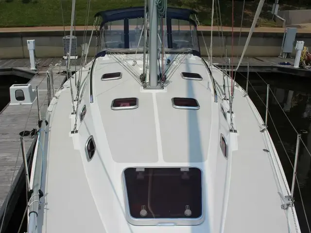 Catalina 387