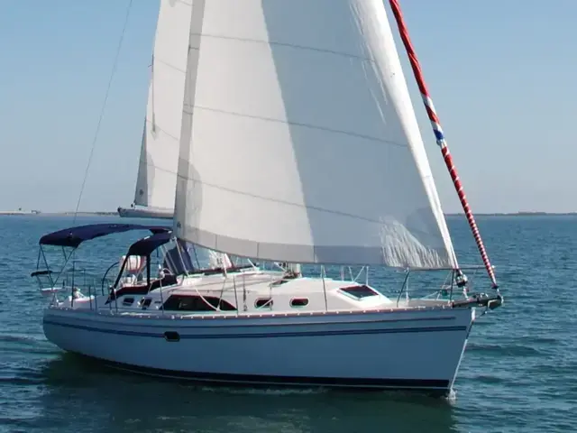 Catalina 386