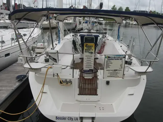 Catalina 385