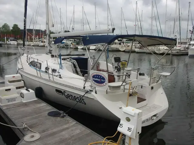 Catalina 385