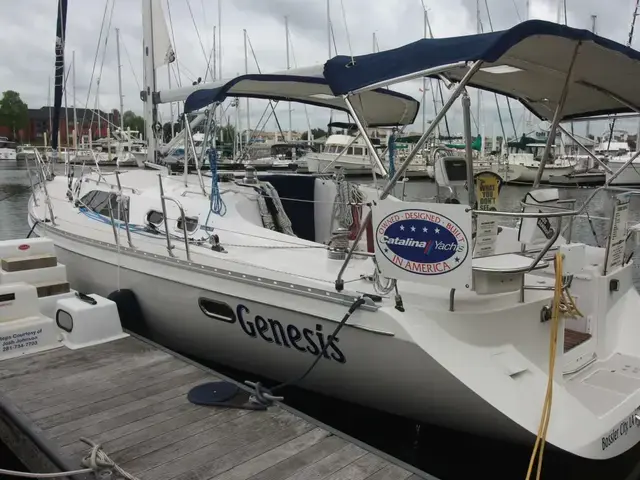 Catalina 385