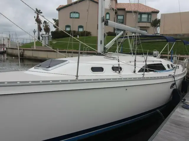 Catalina 385