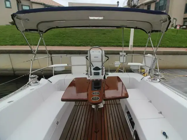 Catalina 385