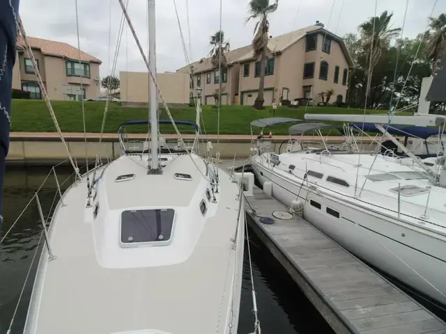 Catalina 385