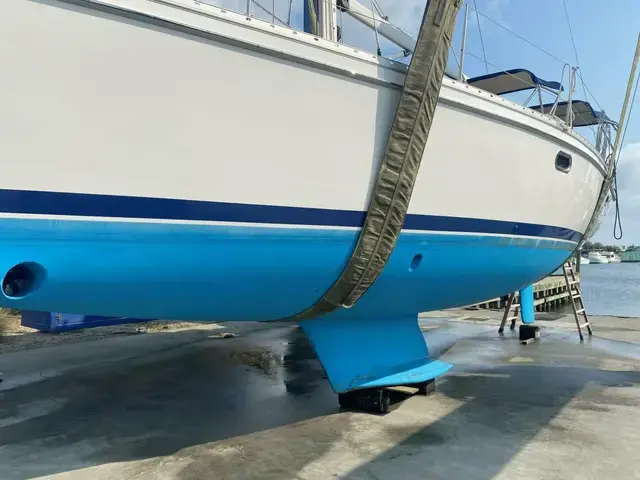 Catalina 385