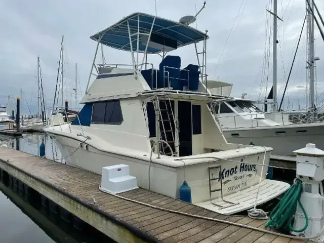 Hatteras 37