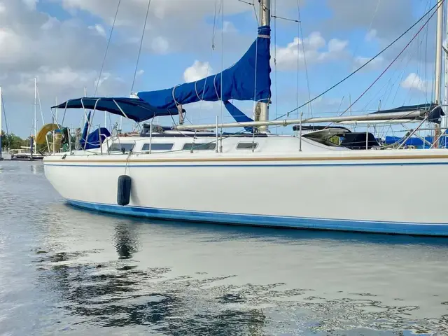 Catalina 36