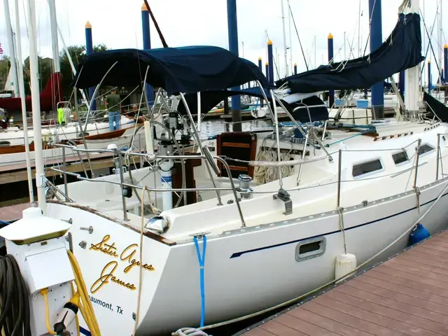 Freedom Marine 36