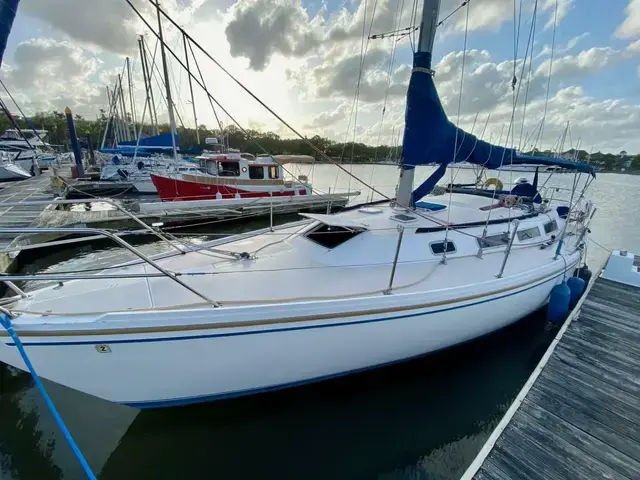 Catalina 36