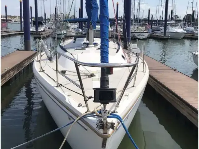 Catalina 36