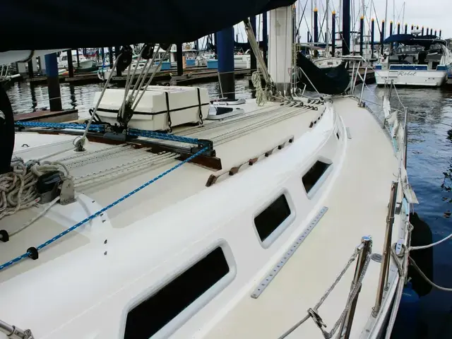 Freedom Marine 36