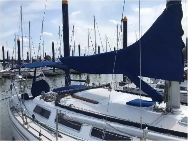 Catalina 36