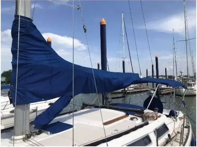 Catalina 36