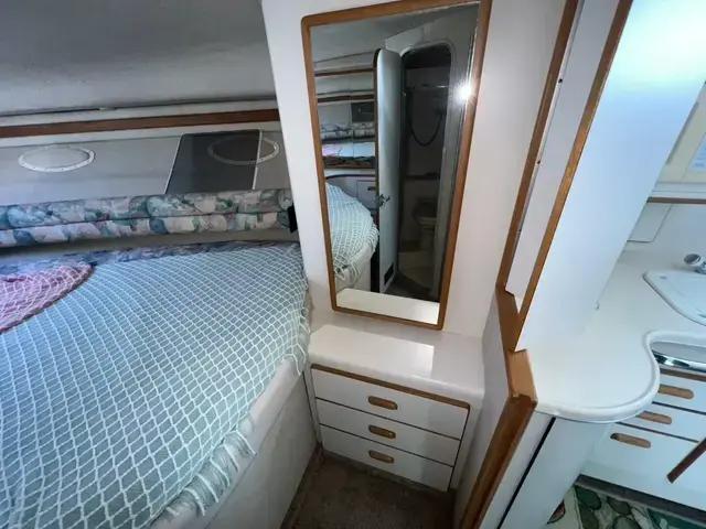 Sea Ray 370 Aft Cabin