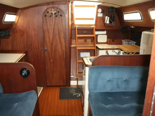 Freedom Marine 36