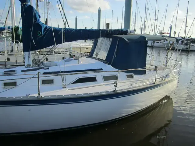 Hunter 34