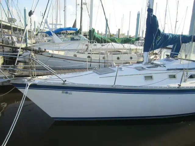 Hunter 34