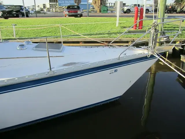 Hunter 34