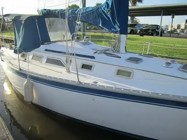 Hunter 34