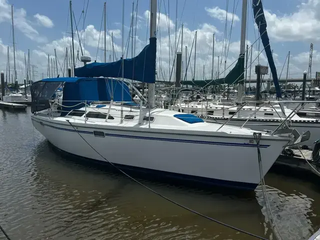 Catalina 320