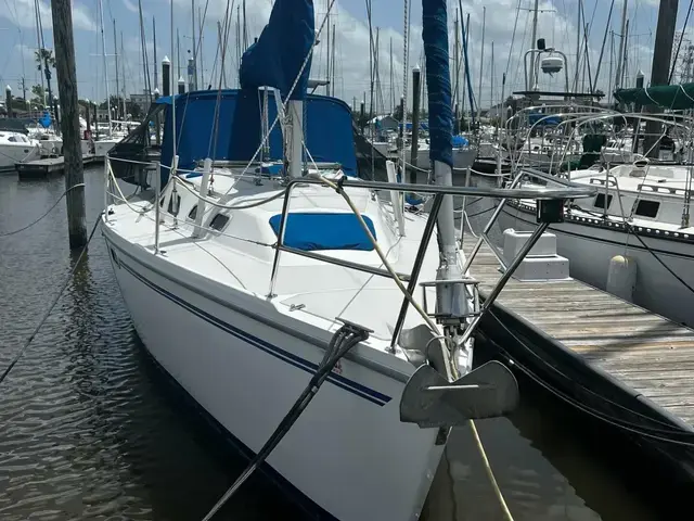 Catalina 320