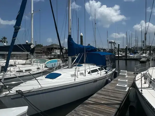 Catalina 320