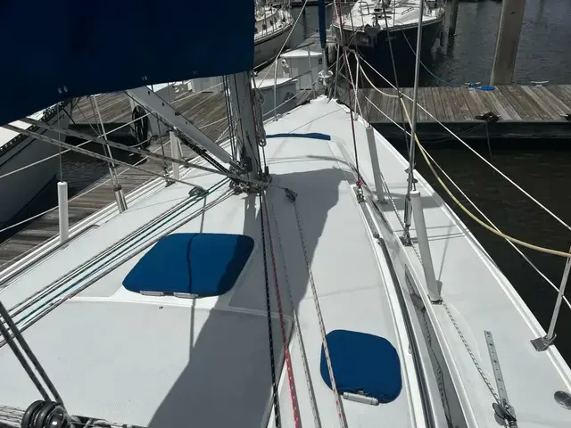 Catalina 320