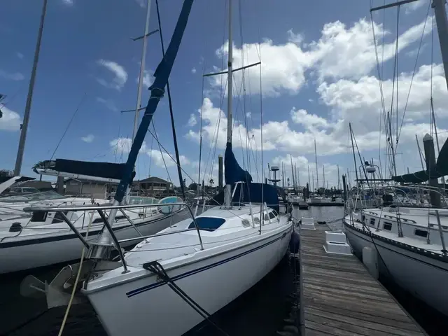 Catalina 320