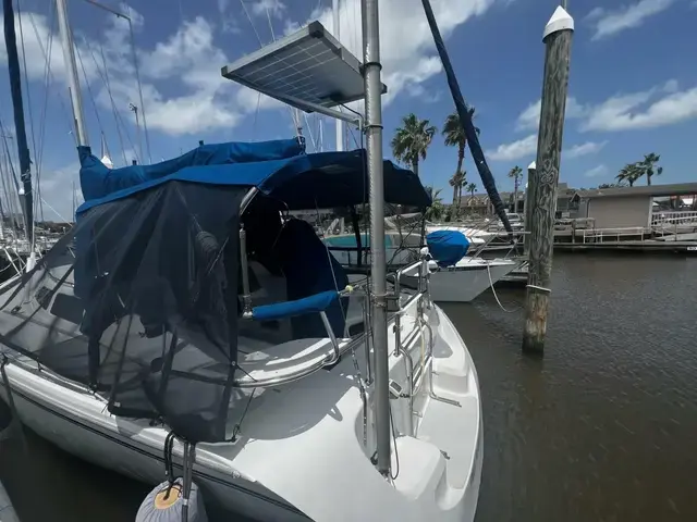 Catalina 320