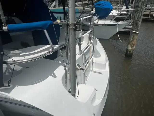 Catalina 320