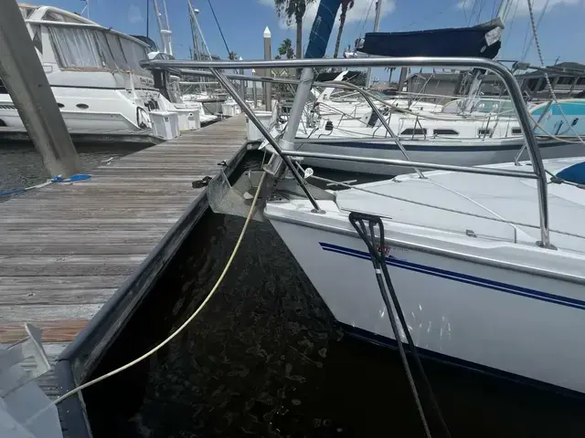 Catalina 320